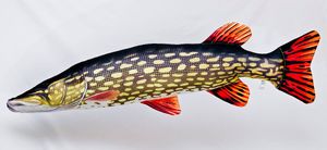 GABY Kissen Kuscheltier Fisch Stofftier Plüschtier Plüschfisch Geschenkidee Hecht Giant Monster 200cm