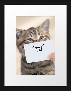 Lustige Katze mit Lächeln auf PapierBilderrahmen mit Galerie-Passepartout / Format: 38x30cm / gerahmt / hochwertige Leinwandbild Alternative