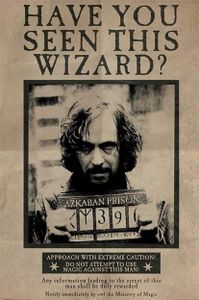 Poster Harry Potter Wanted Sirius Black 61x91.5cm
