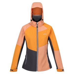 Regatta - "Desoto IX" Softshelljacke für Damen RG9370 (46 DE) (Aprikosen Crush/Orangen Pfeffer)