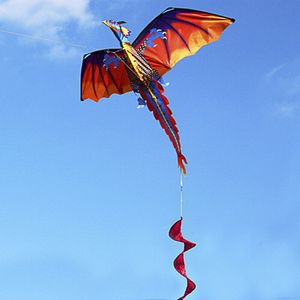 3D Bunt Dinosaurier Drachen mit 100m Einleiner Flugdrachen 140*120cm Spannweite Drachenfliegen Flugdrachen