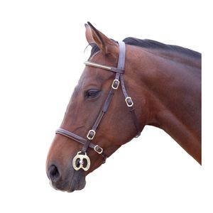 Blenheim - Zaumzeug, Stirnband, Leder ER582 (Pony) (Braun)
