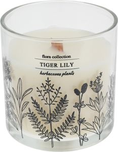 Duftkerze TIGER LILLY aus Glas, Ø 10 cm, weiß