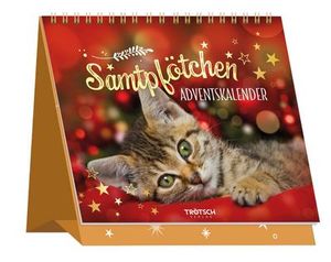 Katzen Samtpfötchen Adventskalender 24 Seiten zum aufklappen 15x 15 cm