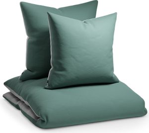 Sleepwise Bettwäsche 155x200 cm, Microfaser Bettwäsche  Getestet, Weicher Winter- und Sommer Bettbezug, Antistatisch & Atmungsaktiv, Allergiker Duvet Cover Bügelfrei, 1 Bett- & 1 Kissenbezug