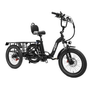 Onesport 20" faltbares Elektro-Dreirad schwarz mit 250W Motor, 48V13Ah Akku
