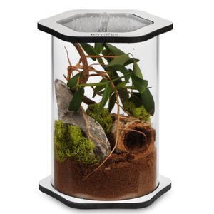 Terrario Spiders Tube Big200 - Terrarium Akrylowe