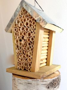 Bienenhotel zur Beobachtung von Bienen, Bienenhaus für Biene oder Insektenhotel