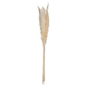 Sada 6 sušených kvetov "Pampa naturelle" V. 65 cm - Atmosphera créateur d'intérieur