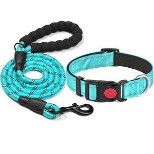 Freetoo Hundehalsband, reflektierendes Hundehalsband gefüllt mit weichem Neopren atmungsaktives verstellbares Nylon Hundehalsband für kleine und mittlere Hunde, Blaue | S