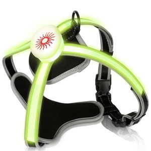 Jiubiaz Hundegeschirre LED Verstellbar Welpen-Geschirr Atmungsaktiv Hunde Brustgeschirr M
