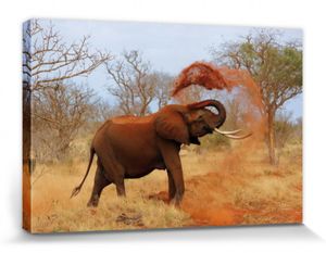 Elefanten Poster Leinwandbild Auf Keilrahmen - Afrikanischer Elefant Nimmt Eine Sanddusche (80 x 120 cm)