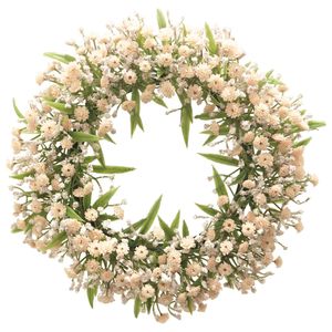 Gypsophila Muralis - wreath pink - 17 cm