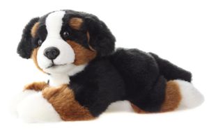 Berner Sennenhund Kuscheltier  liegend 25 cm Teddys Rothenburg