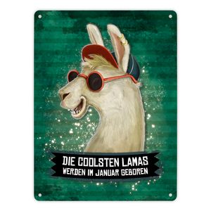 Metallschild XL mit Spruch: Die coolsten Lamas werden ... Schild Blechschild