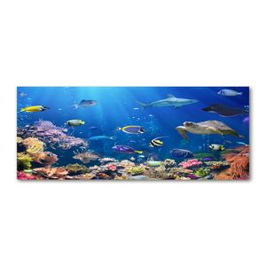 Tulup® Leinwandbild - 125x50 cm - Wandkunst - Drucke auf Leinwand - Leinwanddruck  - Tiere - Blau - Korallenriff