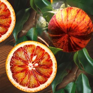 Pomerančovník Arcobal 70-100 cm - Citrus Sinensis 'Arcobal' - Duhový pomeranč