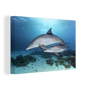 OneMillionCanvasses® - Leinwandbilder - 120x80 cm, Delfin - Kalb - Meer, Wandbilder Kunstdruck Wanddekoration - Wanddekorationen - Wohnzimmer