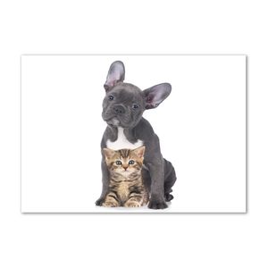 Tulup® Leinwandbild - 100x70 cm - Wandkunst - Drucke auf Leinwand - Leinwanddruck  - Tiere - Schwarz - Hund und Katze
