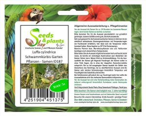 5x Luffa cylindrica Schwammkürbis Garten Pflanzen - Samen ID187