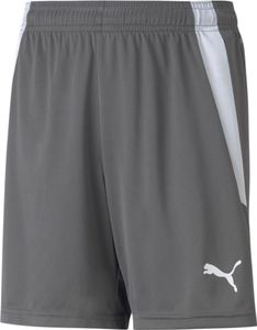 Spodnie Puma Teamliga 70493113