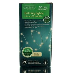 Lumineo LED Micro Lichterkette mit Twinkle Funktionen 245 cm 50 Lichter warmweiß