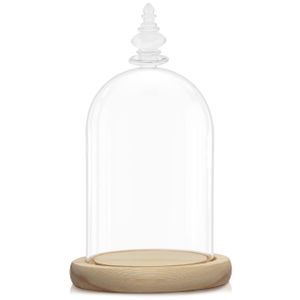 BELLE VOUS Glasglocke Deko mit Natürlichem Holzsockel - 21,5 cm Hoch - Klare Dekorative Glocke aus Glas mit Tablett für Lichterketten, Tafelschmuck und Antiquitäten