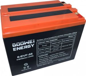 GOOWEY ENERGIE Pb Traktion Sicherung Akkumulator VRLA GEL 12V/55Ah (6-EVF-55)