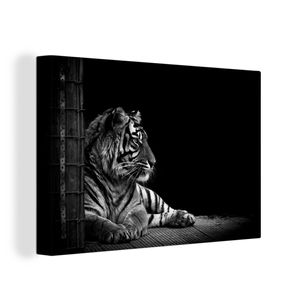 OneMillionCanvasses® - Maľba na plátne - Obraz na plátne Nástenná maľba na plátne - Tiger - Zvieratá - Čierna - Biela - 120x80cm - Fotografia na