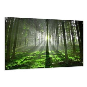 120 x 80 cm Bild auf Leinwand Bäume Wald 5130-SCT deutsche Marke und Lager  -  Die Bilder / das Wandbild / der Kunstdruck ist fertig gerahmt