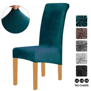 Samt Elasthan Stuhlhussen für Esszimmer 4er-Set, Soft Stretch Stuhlschutz Schonbezüge, abnehmbar und waschbar, groß, Grün