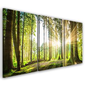 Leinwandbild Kunst-Druck 120x60 Bilder Landschaften Wald Sonne 