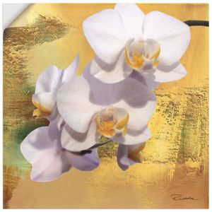 ARTland Wandbild, selbstklebend Weiße Orchidee II Größe: 50x50 cm