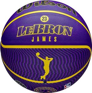 Wilson Icon Lebron James NBA Player Outdoor Basketbäll Bälle WZ4027601XB