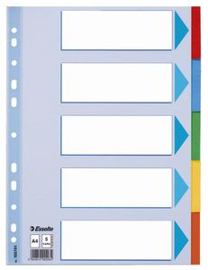 Esselte Karton Register blanko A4 5-teilig mehrfarbig