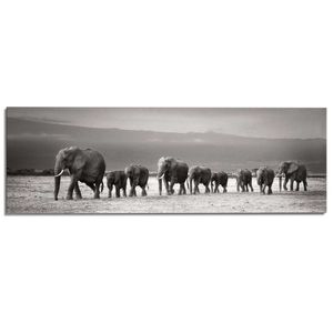 Wandbild Deco Panel Elefantenmarsch Tiermotiv  - Natur - Elefant