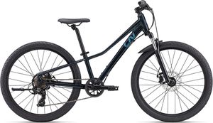Liv Tempt 24´´ Disc 2024 Fahrrad Silber  Junge Silber One Size
