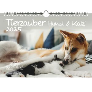 Tierzauber Hund und Katz' DIN A4 Kalender für 2025 Hunde und Katzen und ihre Freundschaften - Seelenzauber