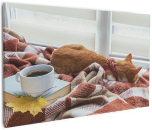 Wallario Premium Leinwandbild Schlafende Katze beim Kaffeekränzchen in Größe 60 x 90 cm