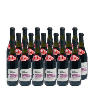 Rotwein Italien Lambrusco  Grasparossa di Castelvetro DOC lieblich (18x0,75L)