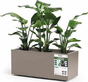 euro3plast 315-4G9 Pflanzkasten Greener Kebe 100cm, taupe