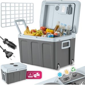 Elektrische Kühl- und Wärmebox mit Griffen und Rollen, 40 l - grau