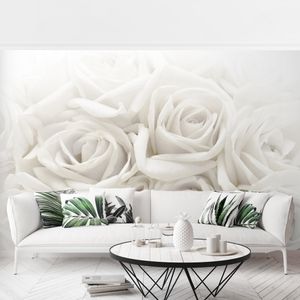 Rosentapete - Vliestapete - Weiße Rosen - Blumen Fototapete Breit, Größe HxB:320cm x 480cm