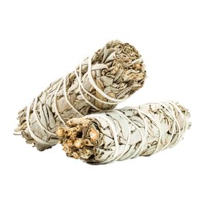 Weißer Salbei – Weihrauch 20-30 g (Bündel)