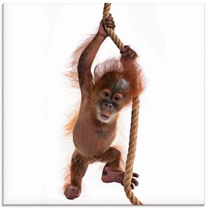 ARTland Glasbild Baby Orang Utan hängt am Seil I Größe: 30x30 cm