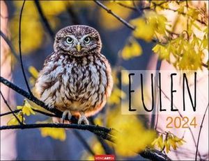Eulen Kalender 2024. Beeindruckende Aufnahmen der schönen Greifvögel in einem großen Fotokalender. Ein Wand-Kalender 2024 für alle Fans der nachtaktiven Vögel. 44x34 cm Querformat
