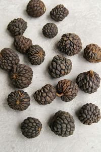 Couronne - Dekorationsmaterial 'Ata Fruit' (500gr, Warm natural)