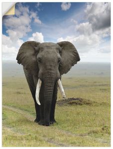 ARTland Wandbild, selbstklebend Elefant Größe: 45x60 cm