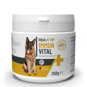 REAVET Immun Vital für Hunde 250g - für mehr Wohlbefinden & Vitalität I Natürliche Abwehrkraft, Stärkung des Immunsystem, Ohne künstliche Zusätze, Reich an Mineralien