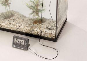 Europet Bernina Digital Thermometer für Aquarium oder Terrarium